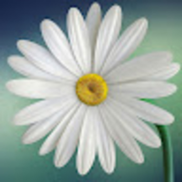 chloe15catherin